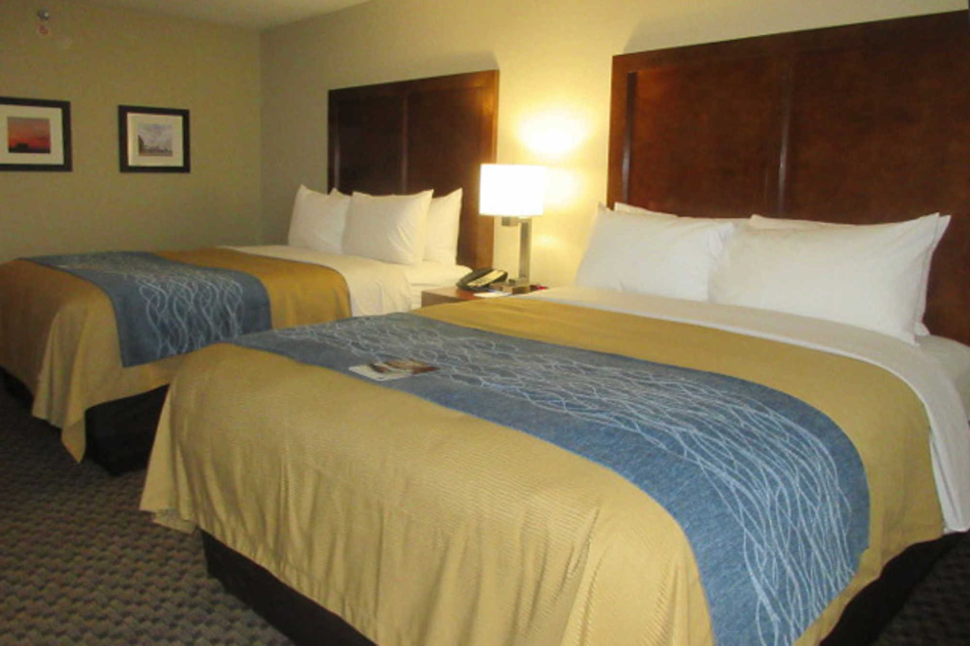 Comfort Inn Edwardsville - St Louis Bilik gambar