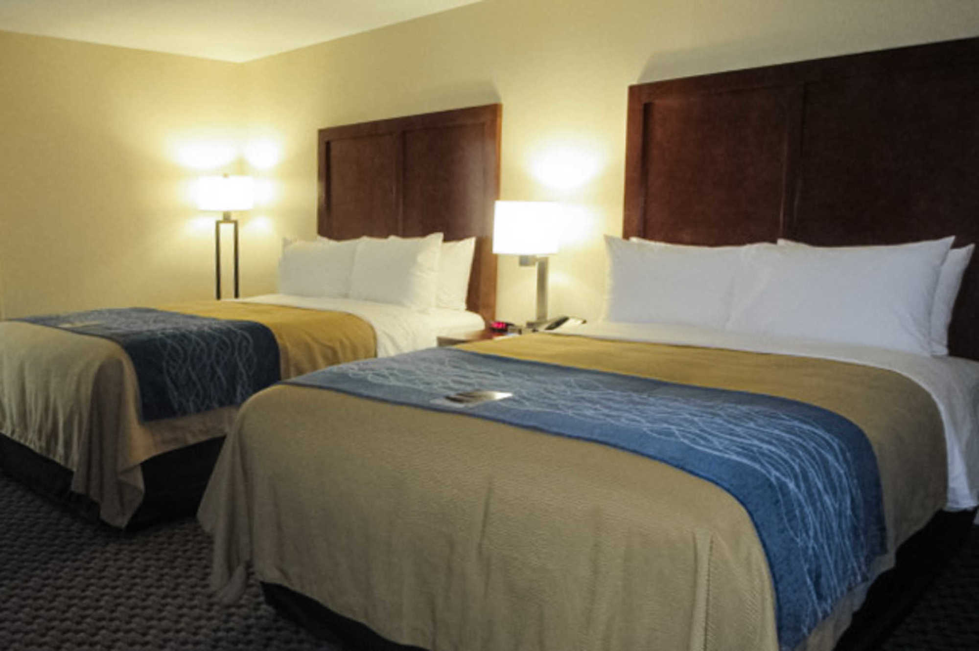 Comfort Inn Edwardsville - St Louis Bilik gambar